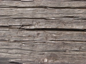 Wastage in wood- Reasons to choose plywood