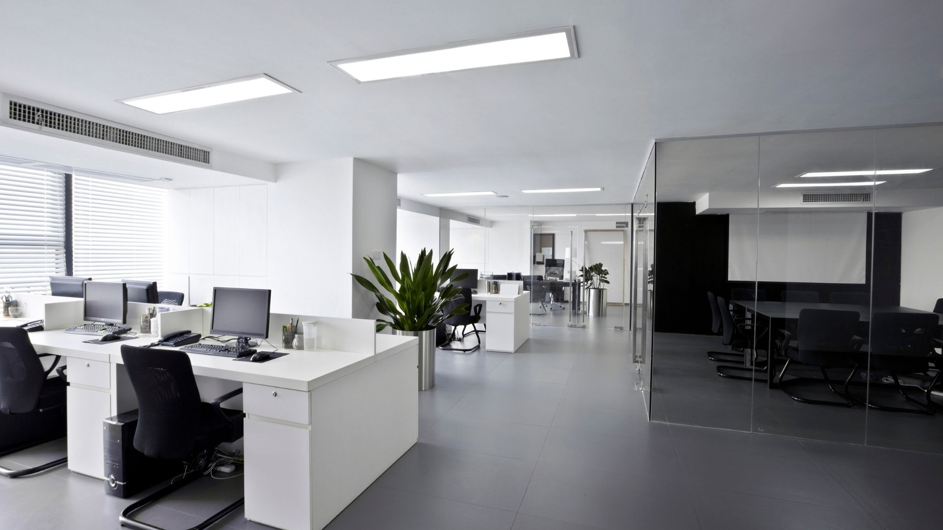 How Colour-Diverse Furniture Boosts Productivity at Workplace