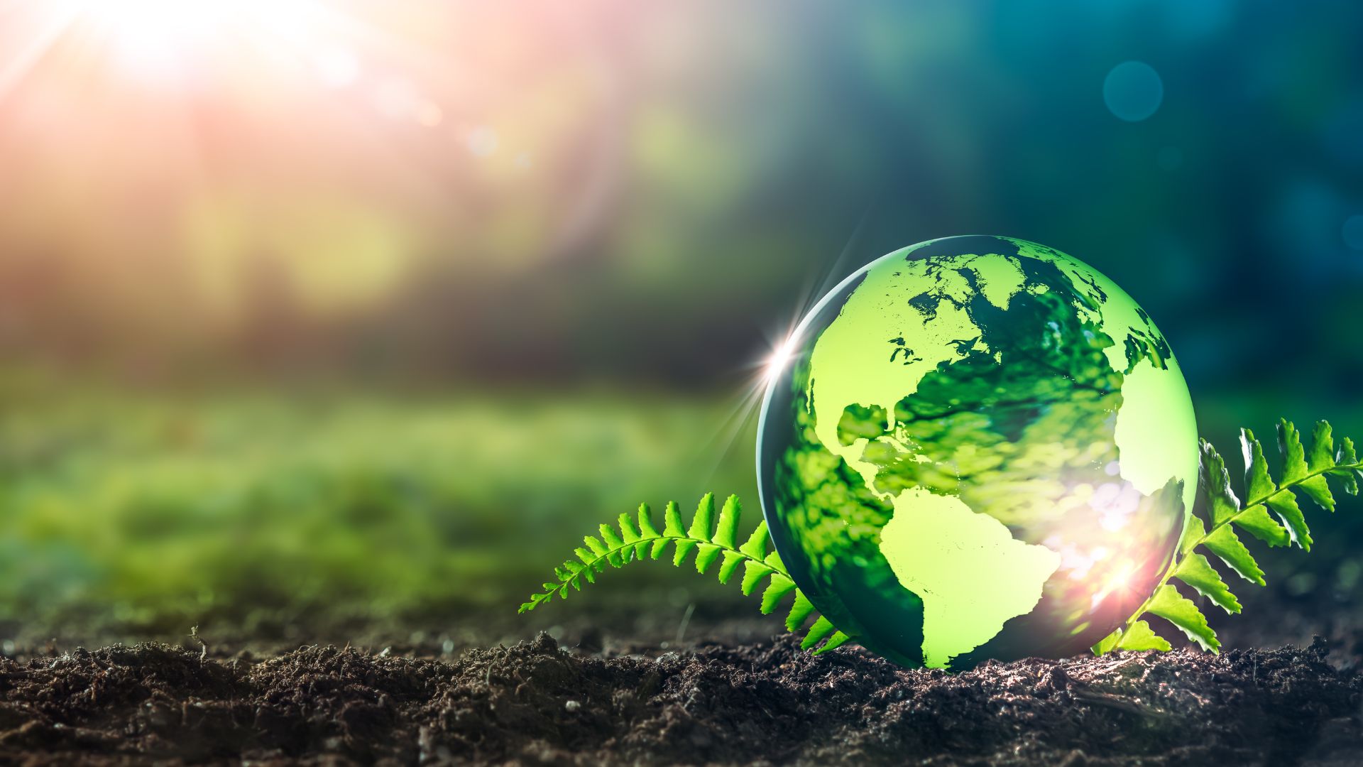 Impact of Wood-Based Products on Health & Environment