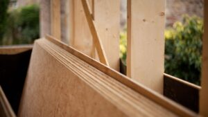 Termite-Proof or Marketing Hype 3 Quick Tests to Verify Anti-Borer Plywood at the Shop