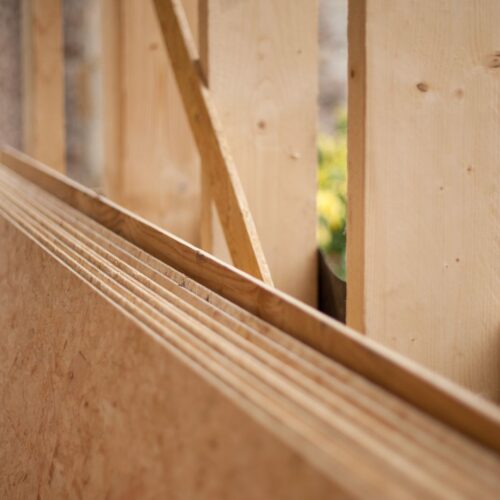 Termite-Proof or Marketing Hype?