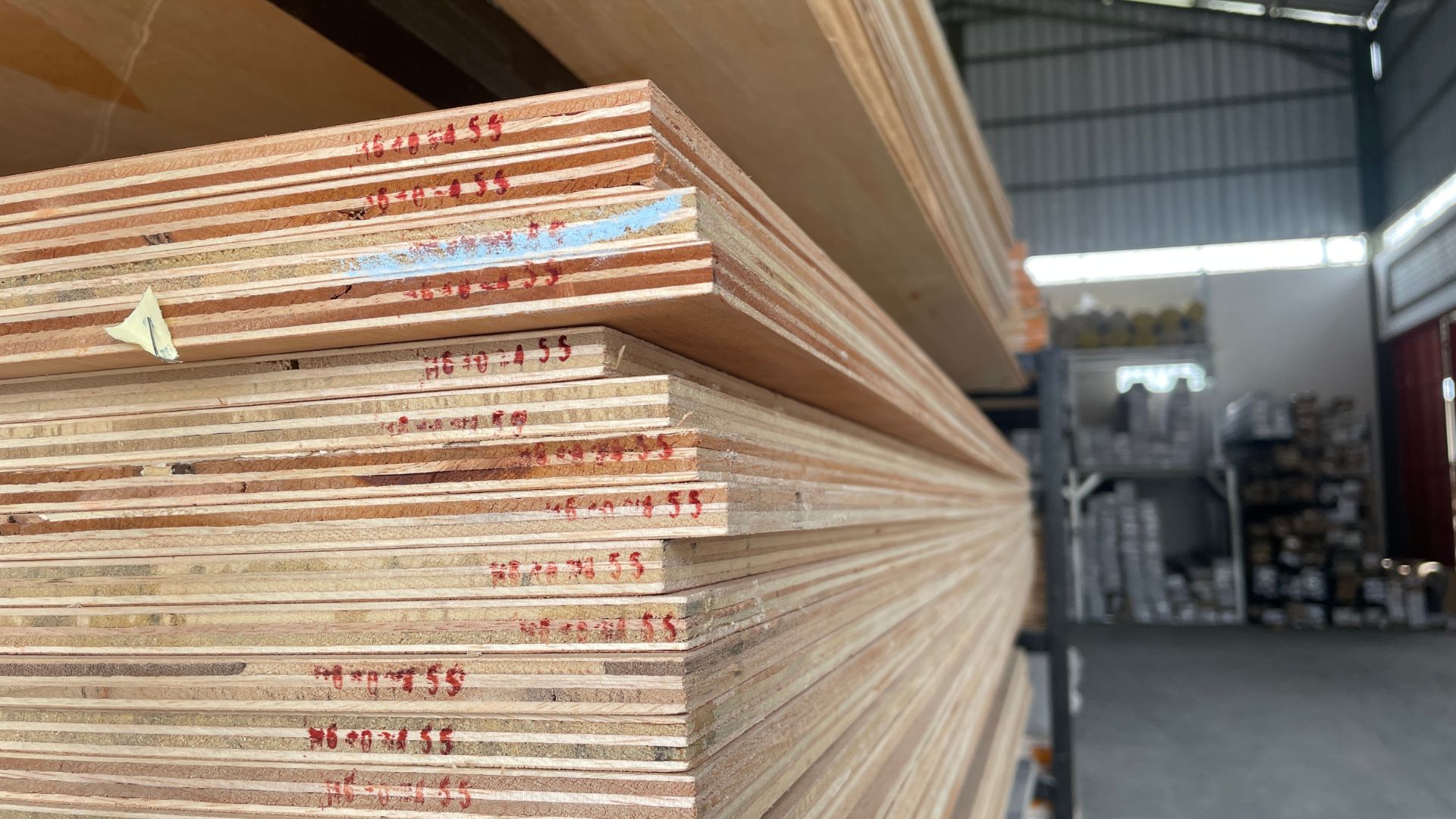 Can Plywood Be Recycled in India? Current Reality vs Ideal Future