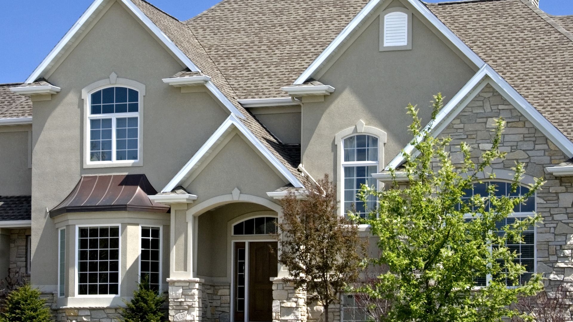 Termite Resistance: Myths vs Facts Every Homeowner Should Know