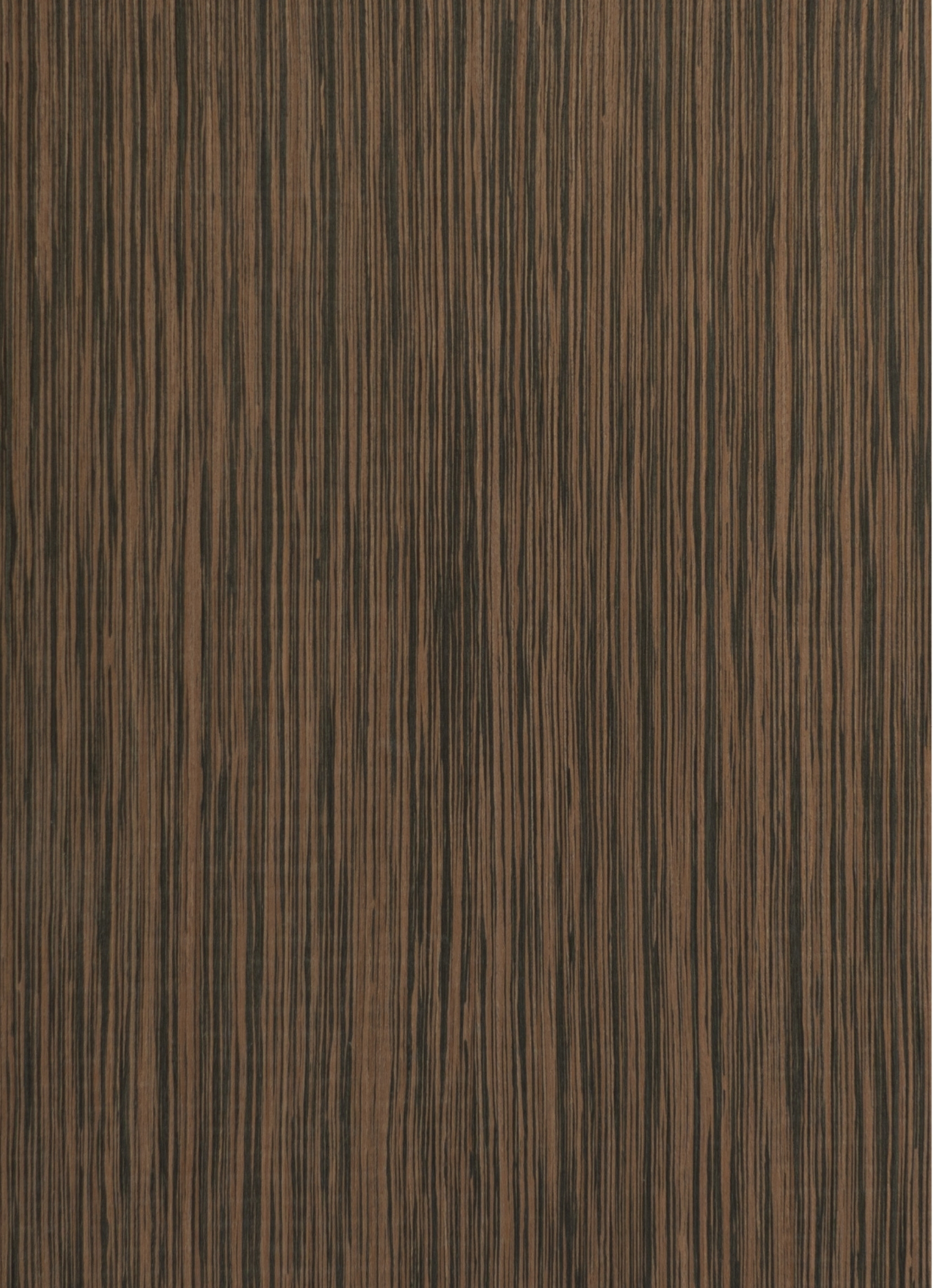 veneers