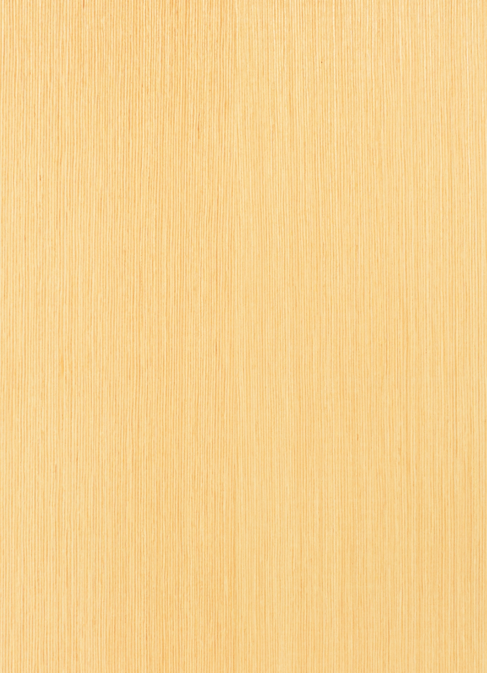 veneers
