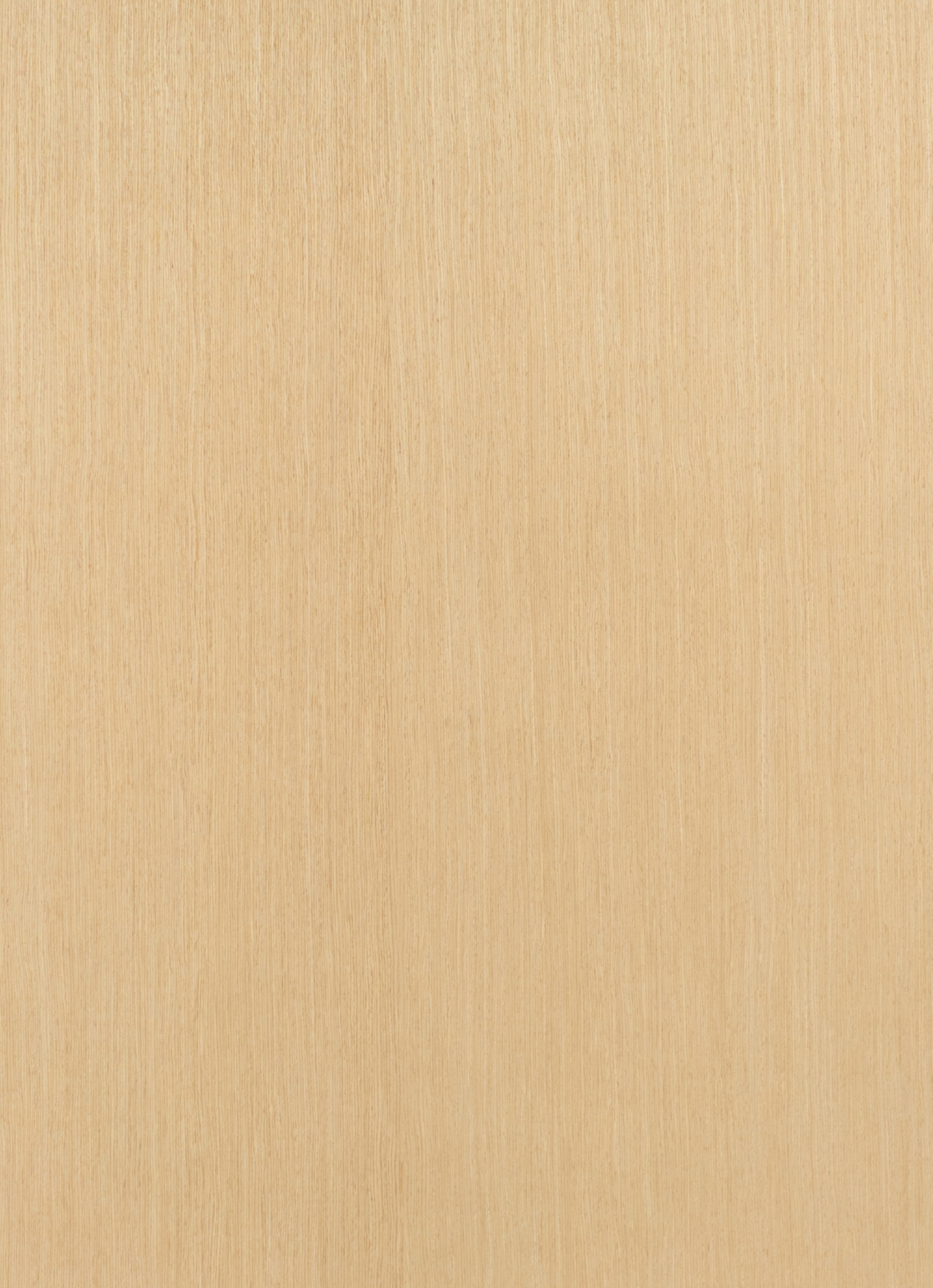 veneers