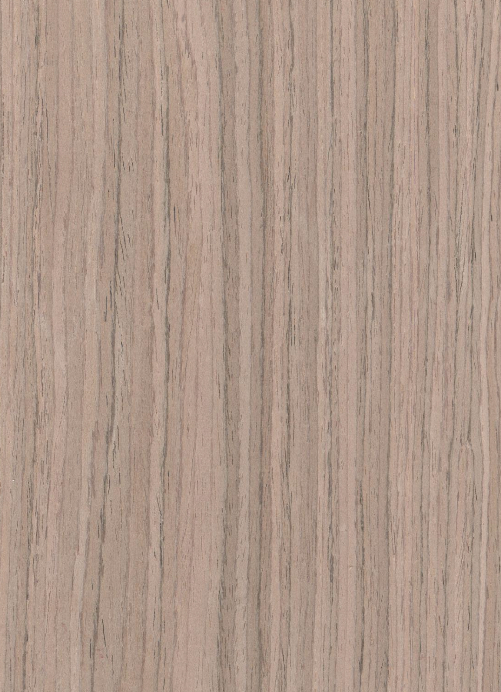 veneers